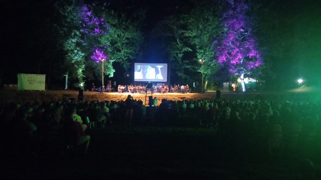 Panoramica notturna dell'allestimento con maxischermo per l'Opera al lago con il Morricone Film History e la musica del grande cinema.